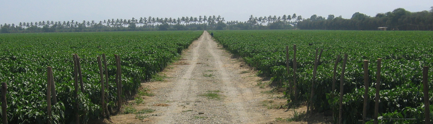 Latin American Agribusiness Development Corp.