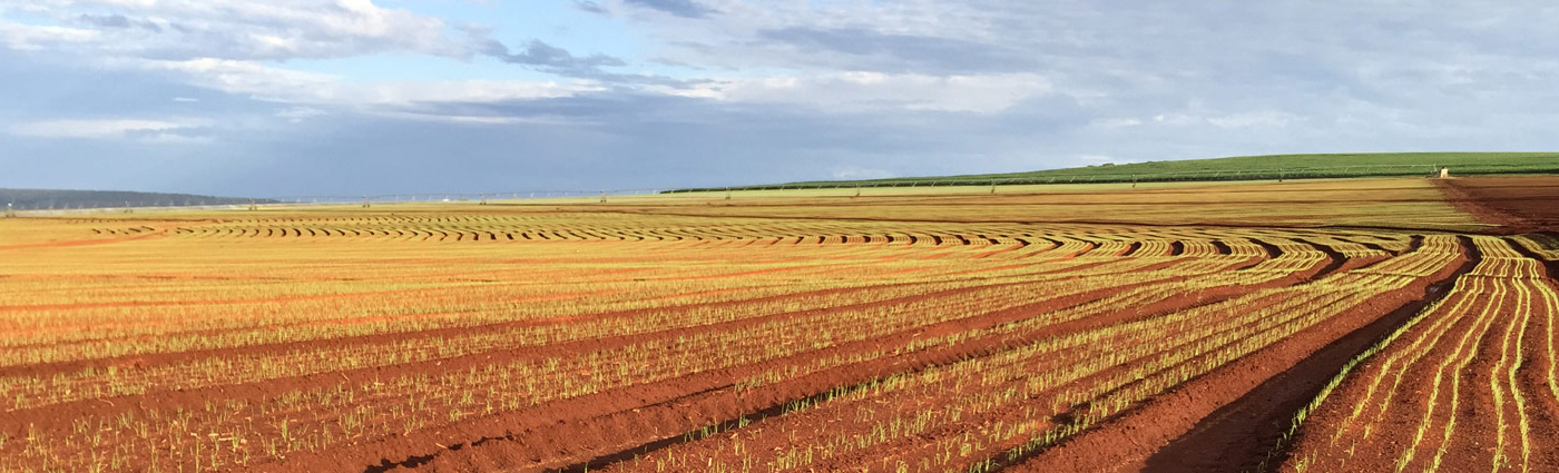 Latin American Agribusiness Development Corp.