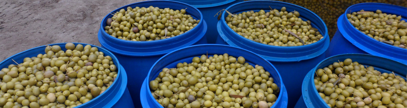 Latin American Agribusiness Development Corp.