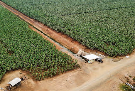 solar energy plant for Guidom SRL